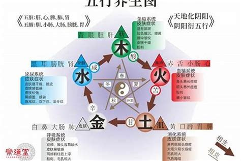 五行金旺缺木